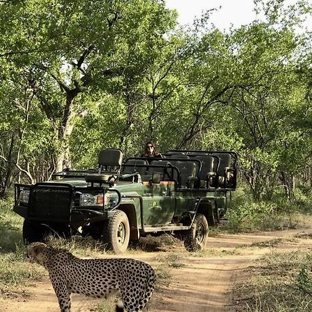 Karongwe Portfolio- Shiduli Private Game Lodge Karongwe Game Reserve Dış mekan fotoğraf