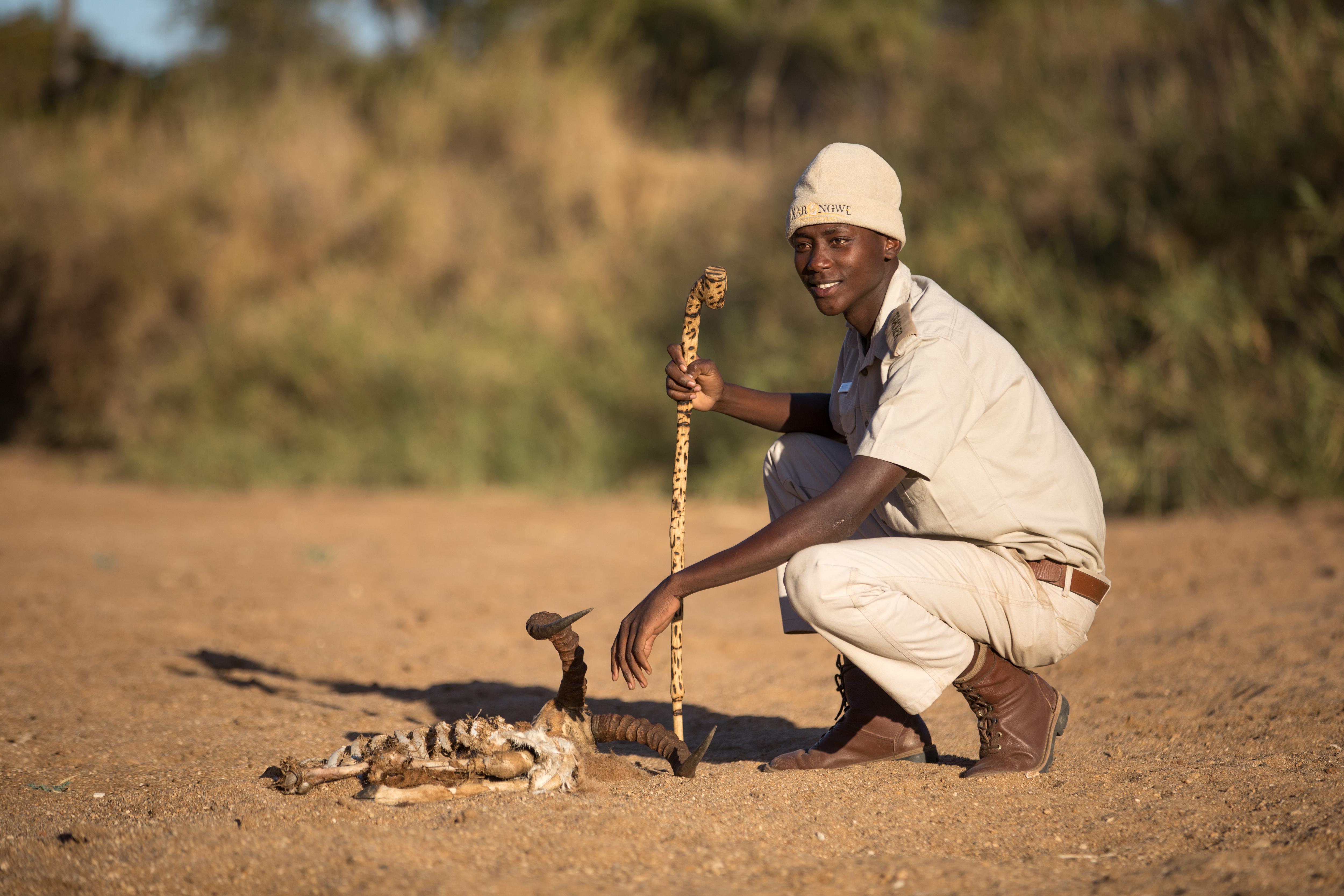 Karongwe Portfolio- Shiduli Private Game Lodge Karongwe Game Reserve Dış mekan fotoğraf