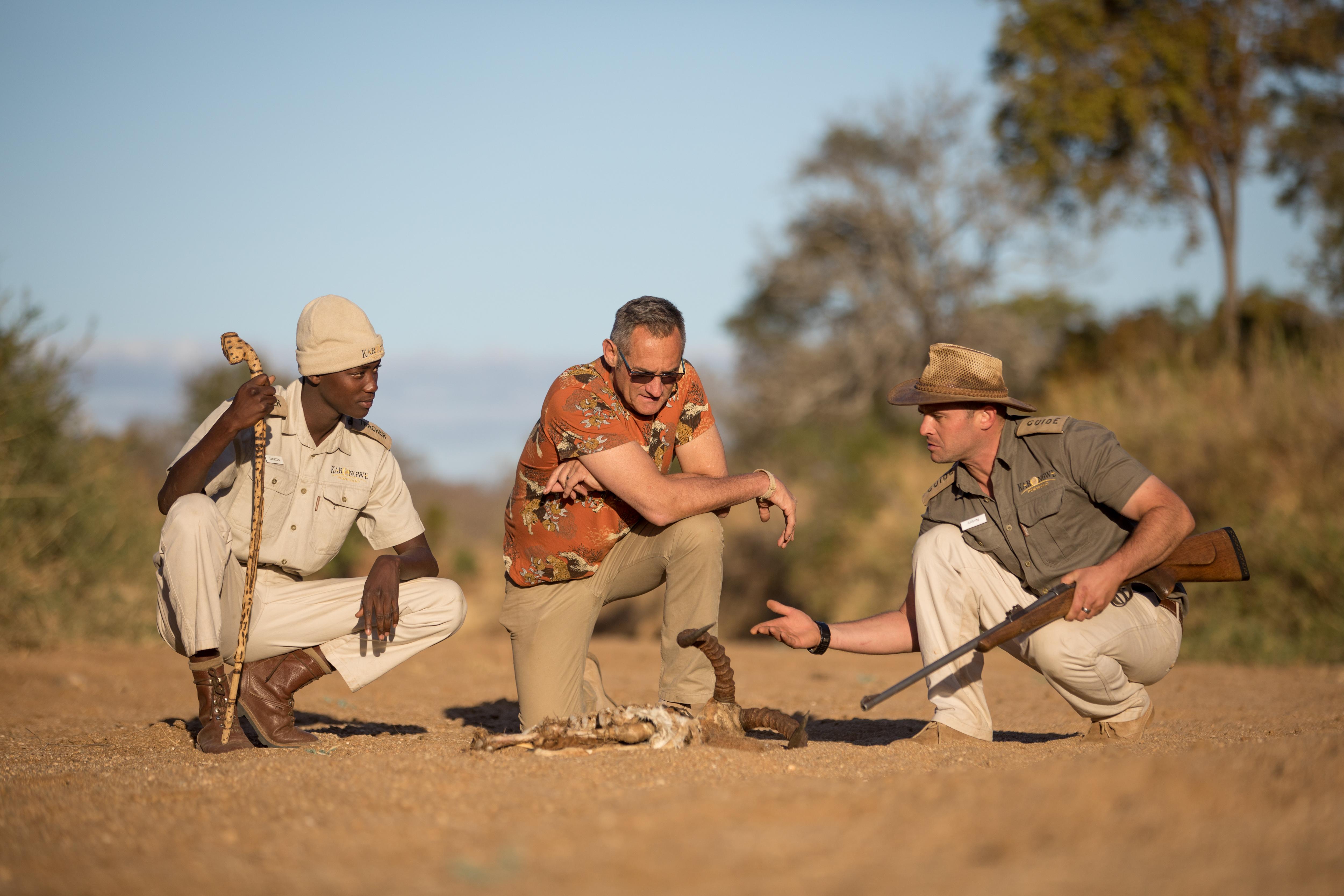 Karongwe Portfolio- Shiduli Private Game Lodge Karongwe Game Reserve Dış mekan fotoğraf