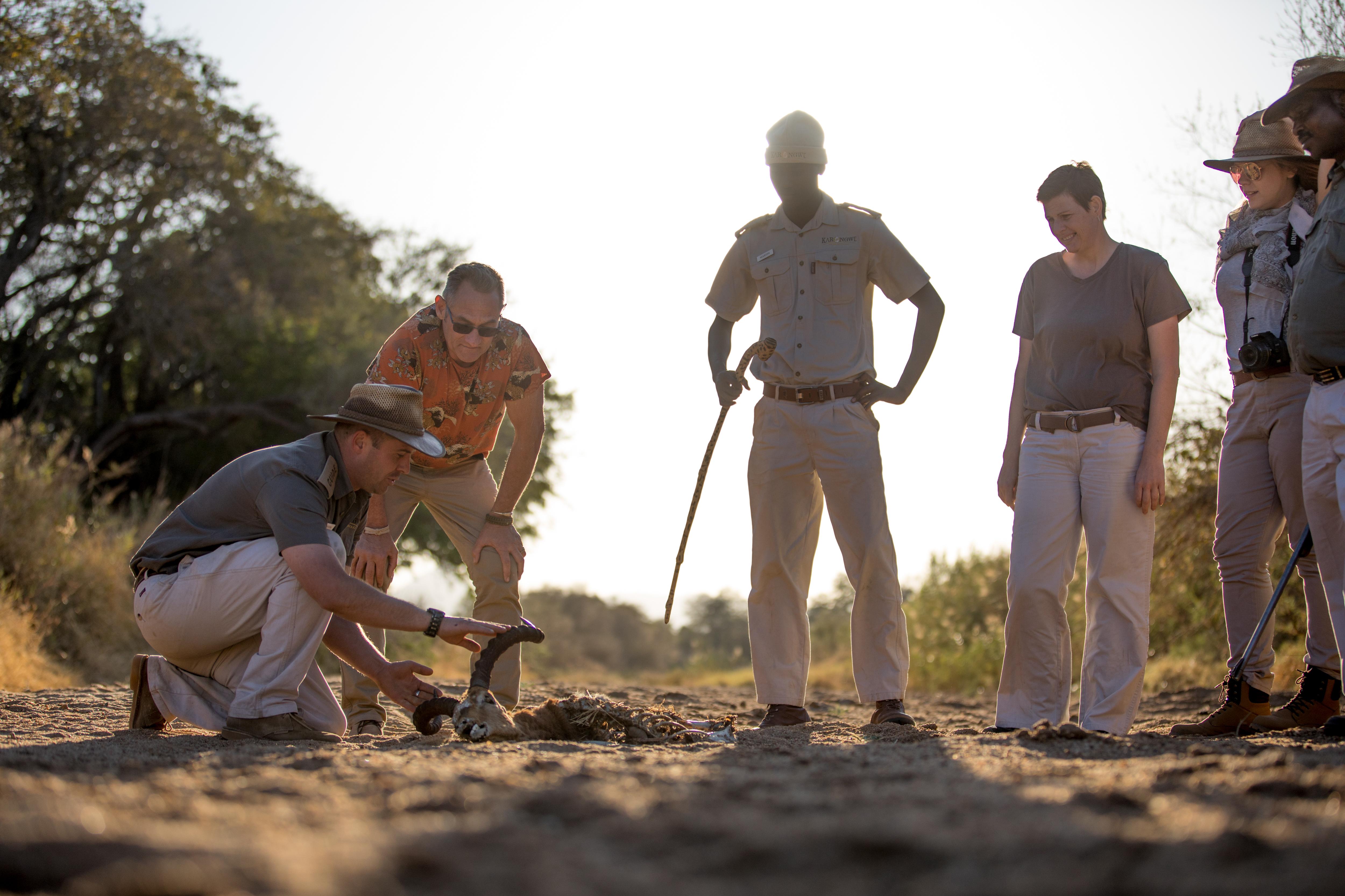 Karongwe Portfolio- Shiduli Private Game Lodge Karongwe Game Reserve Dış mekan fotoğraf