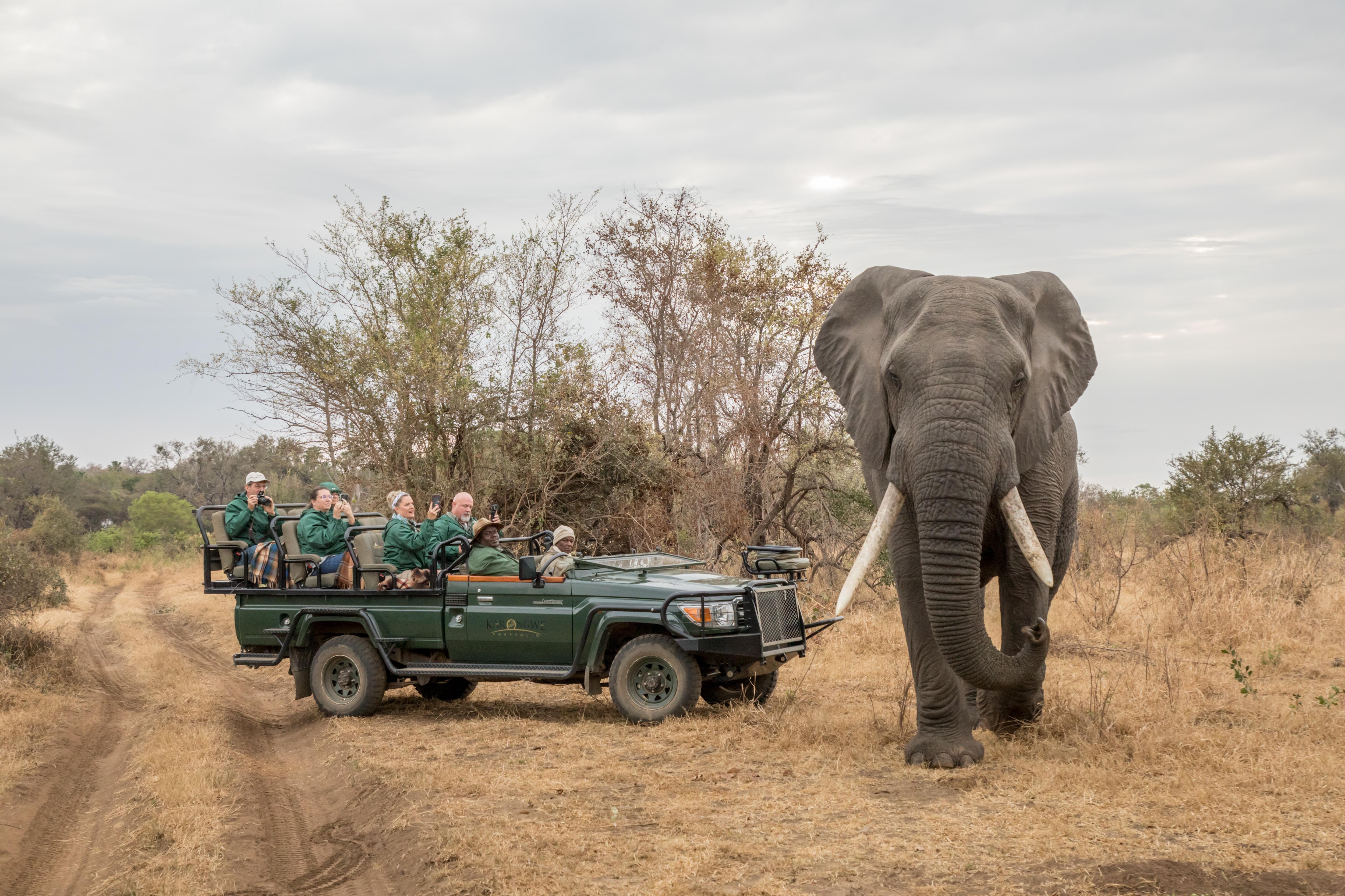 Karongwe Portfolio- Shiduli Private Game Lodge Karongwe Game Reserve Dış mekan fotoğraf