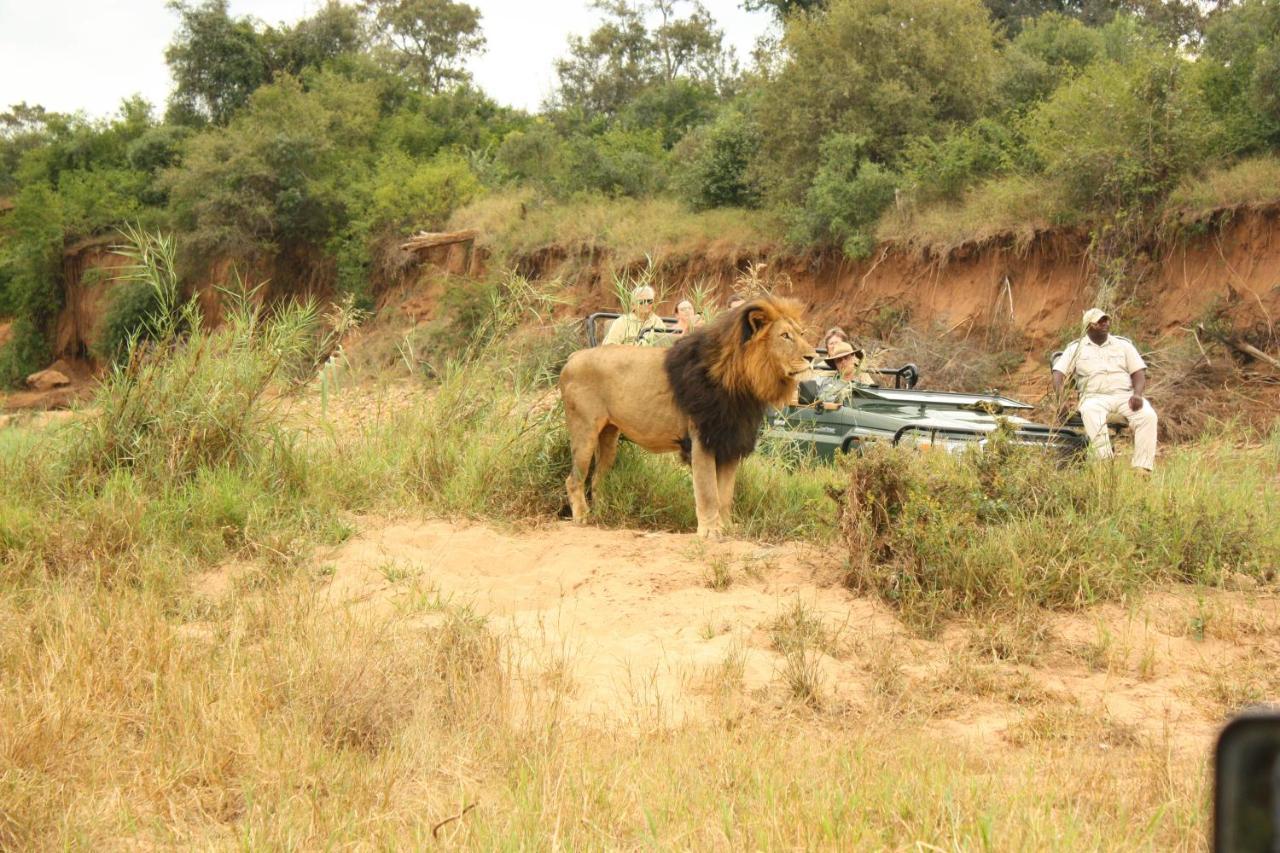 Karongwe Portfolio- Shiduli Private Game Lodge Karongwe Game Reserve Dış mekan fotoğraf