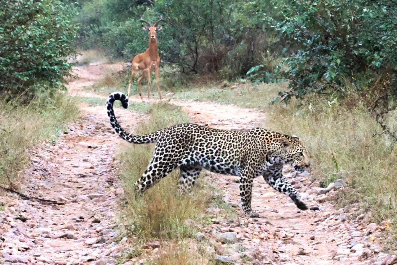 Karongwe Portfolio- Shiduli Private Game Lodge Karongwe Game Reserve Dış mekan fotoğraf