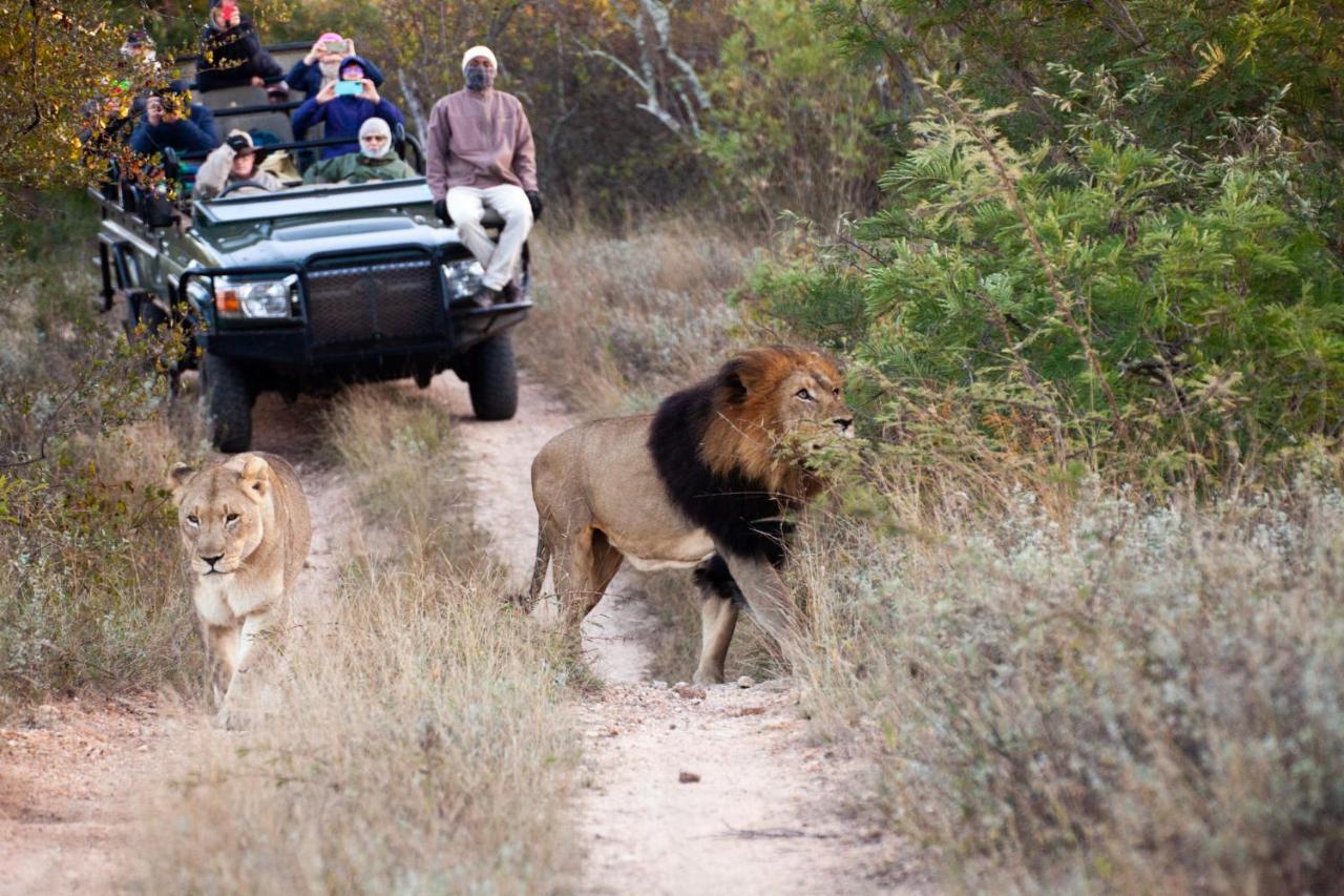 Karongwe Portfolio- Shiduli Private Game Lodge Karongwe Game Reserve Dış mekan fotoğraf
