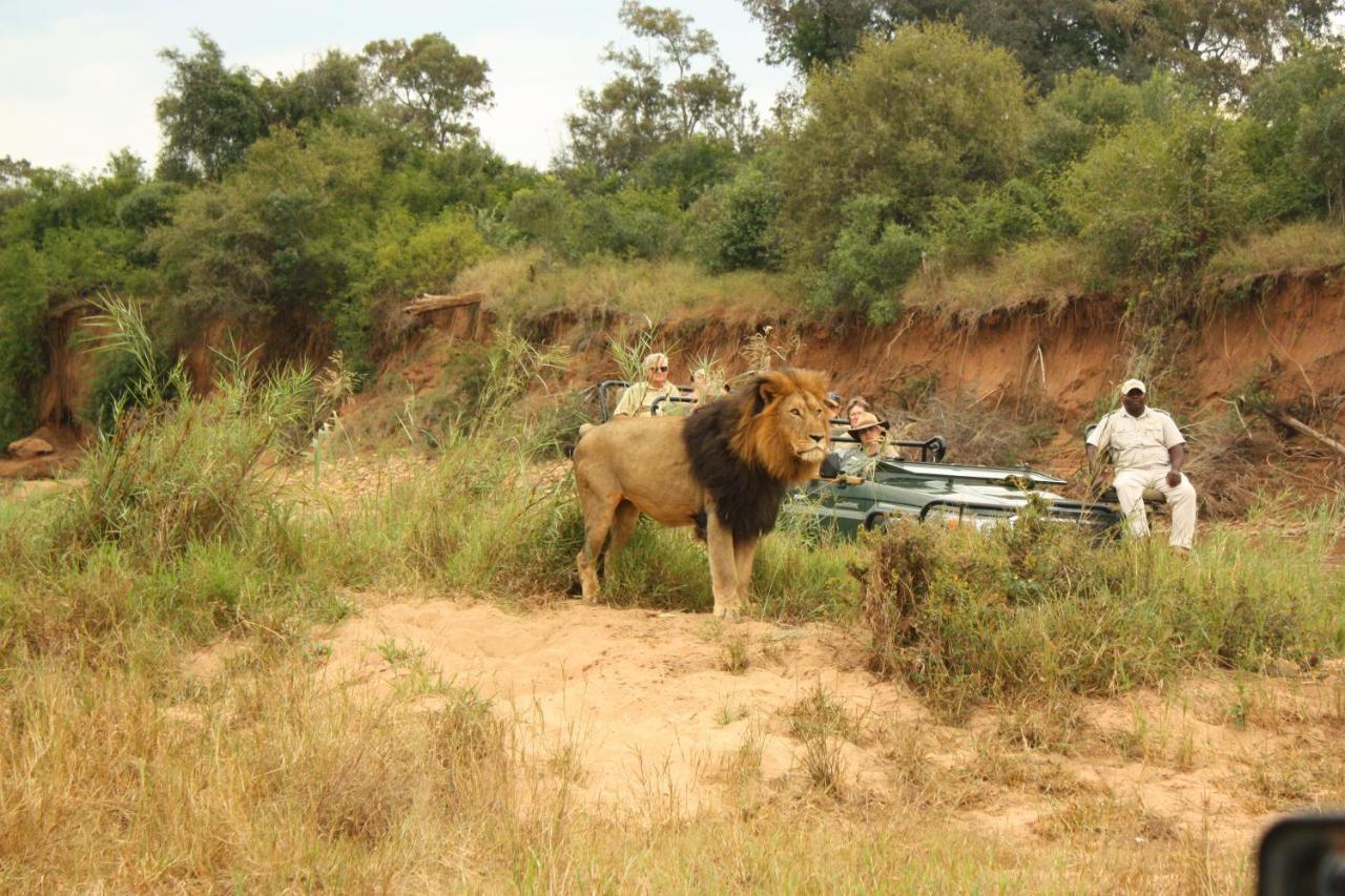 Karongwe Portfolio- Shiduli Private Game Lodge Karongwe Game Reserve Dış mekan fotoğraf
