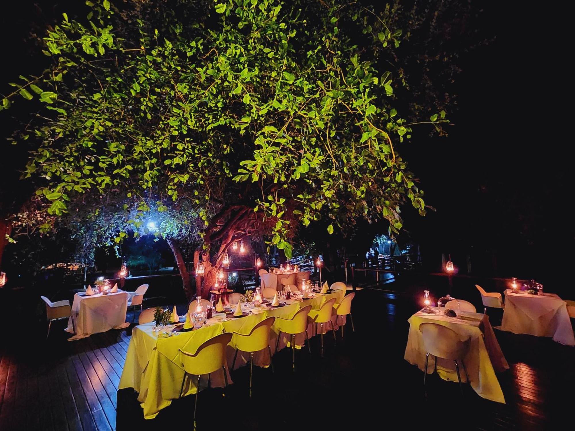 Karongwe Portfolio- Shiduli Private Game Lodge Karongwe Game Reserve Dış mekan fotoğraf