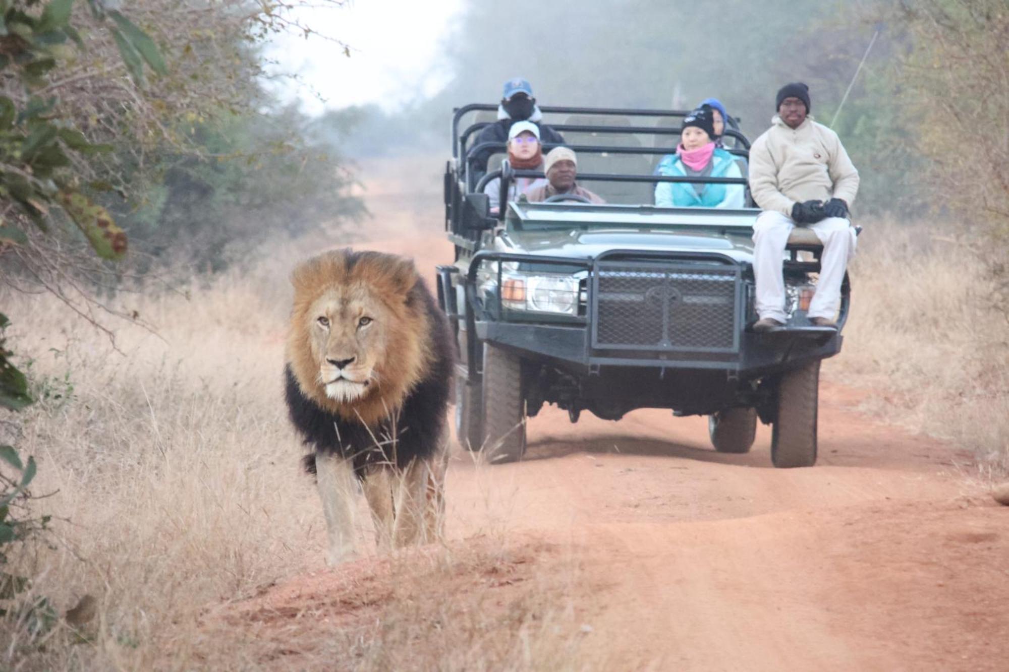 Karongwe Portfolio- Shiduli Private Game Lodge Karongwe Game Reserve Dış mekan fotoğraf