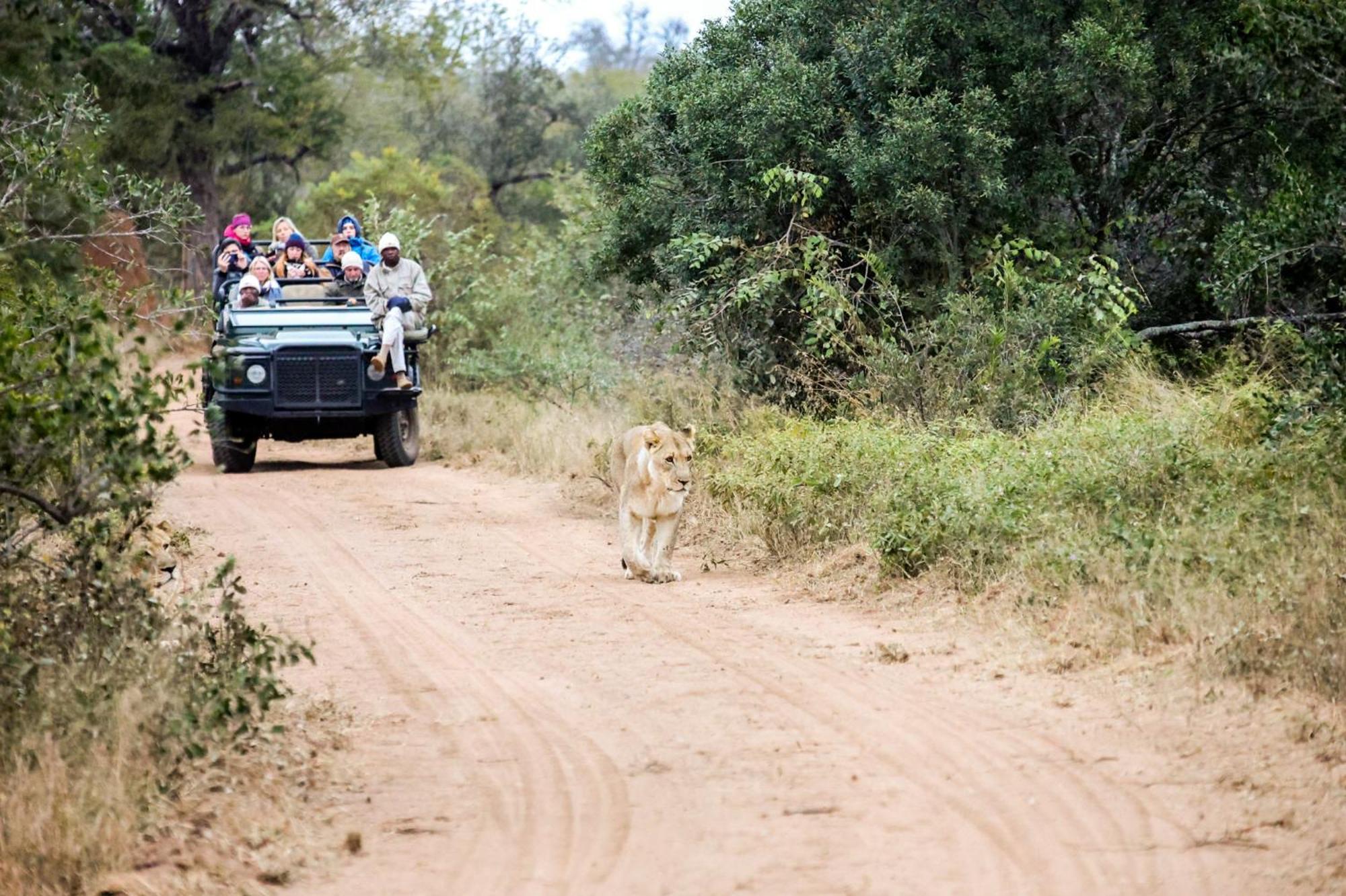 Karongwe Portfolio- Shiduli Private Game Lodge Karongwe Game Reserve Dış mekan fotoğraf