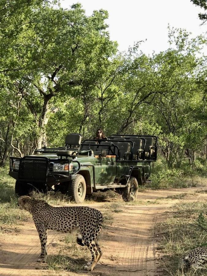Karongwe Portfolio- Shiduli Private Game Lodge Karongwe Game Reserve Dış mekan fotoğraf